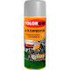 Spray Colorgin Alta Temp.Alumi-5723