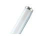 Lampada Fluorescente 54W T5 Osram 3000K 830 