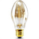 Lampada Filamento Carbono Galaxy B53 2400K 40Wx127V 5023