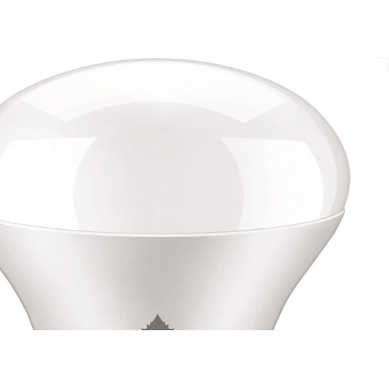 Lampada Led Bulbo Ecolume 07W 3000K A60/A55 27212