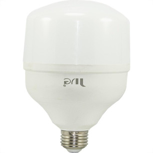 Lampada Led Bulbo Jng 80W 6500K E27 55319