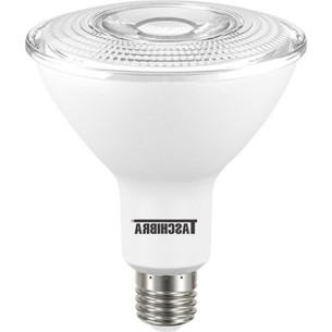 Lampada Led Par38 Taschibra 14W 2700K 