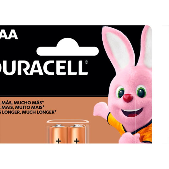 Pilha Duracell Alcalina Palito Aaa Cartela 2Pecas 