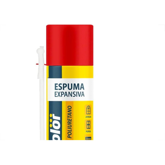 Chemicolor Espuma Expansiva Chemic 300Ml/190G